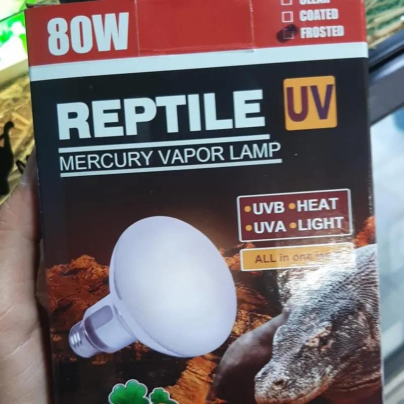 Lucky Herp 80W 3az1ben teknős fűtőizzó használat közben
